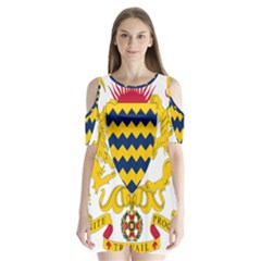 Coat Of Arms Of Chad Shoulder Cutout Velvet  One Piece by abbeyz71