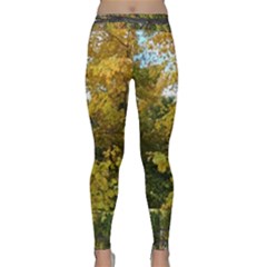 Vermont Tree In Autumn Classic Yoga Leggings by SusanFranzblau