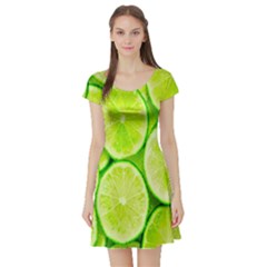 Green Lemon Slices Fruite Short Sleeve Skater Dress by Alisyart