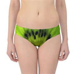 Kiwi Fruit Slices Cut Macro Green Hipster Bikini Bottoms by Alisyart