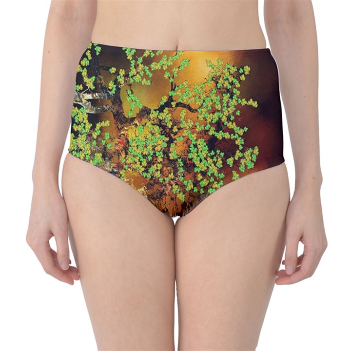 Backdrop Background Tree Abstract High-Waist Bikini Bottoms