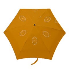 Lime Orange Fruit Fres Mini Folding Umbrellas