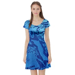 Background Tissu Fleur Bleu Short Sleeve Skater Dress by Nexatart