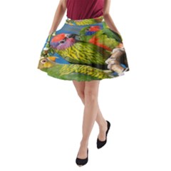 Beautifull Parrots Bird A-line Pocket Skirt