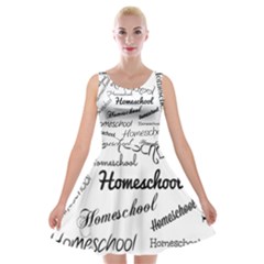 Homeschool Velvet Skater Dress