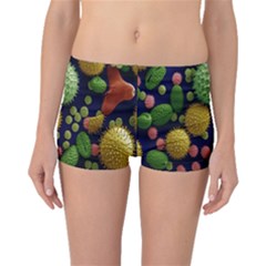 Colorized Pollen Macro View Boyleg Bikini Bottoms by Nexatart