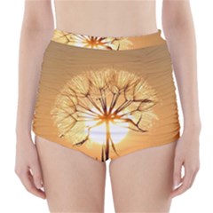 Dandelion Sun Dew Water Plants High-waisted Bikini Bottoms by Nexatart