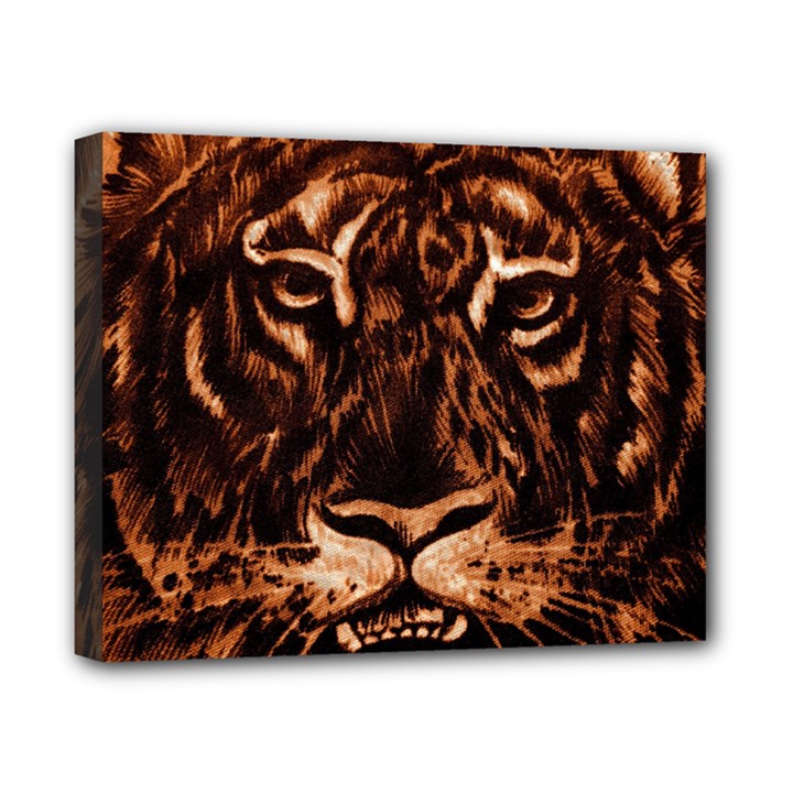 Eye Of The Tiger Canvas 10  x 8 