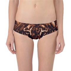 Eye Of The Tiger Classic Bikini Bottoms