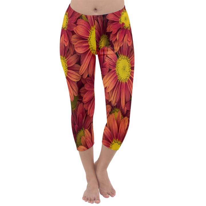 Flowers Nature Plants Autumn Affix Capri Winter Leggings 