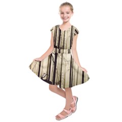 Forest Fog Hirsch Wild Boars Kids  Short Sleeve Dress by Nexatart