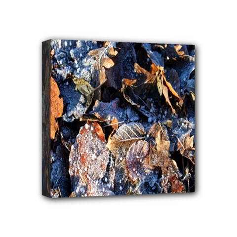 Frost Leaves Winter Park Morning Mini Canvas 4  X 4  by Nexatart