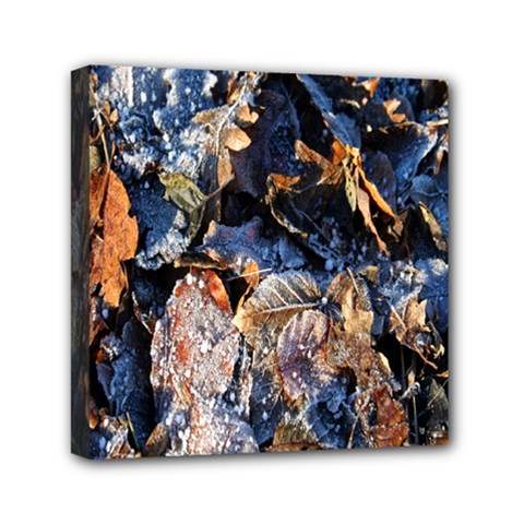 Frost Leaves Winter Park Morning Mini Canvas 6  X 6  by Nexatart