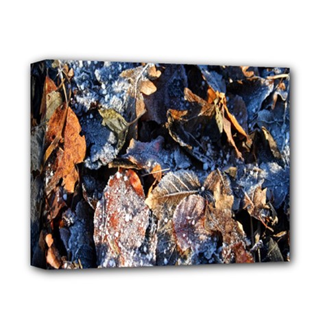 Frost Leaves Winter Park Morning Deluxe Canvas 14  X 11  by Nexatart