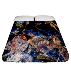 Frost Leaves Winter Park Morning Fitted Sheet (queen Size) by Nexatart