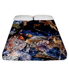 Frost Leaves Winter Park Morning Fitted Sheet (king Size) by Nexatart