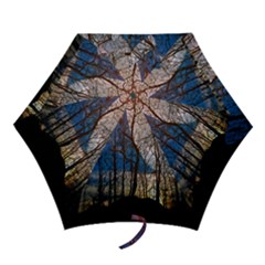 Full Moon Forest Night Darkness Mini Folding Umbrellas by Nexatart