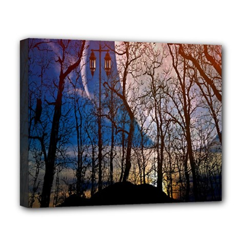 Full Moon Forest Night Darkness Deluxe Canvas 20  X 16  