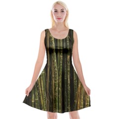 Green And Brown Bamboo Trees Reversible Velvet Sleeveless Dress by Nexatart