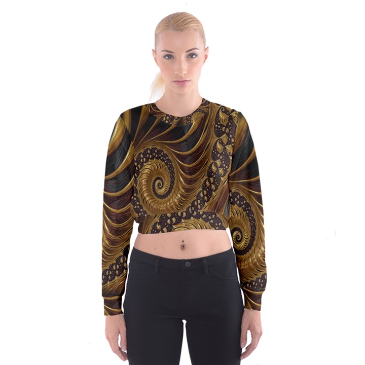 Fractal Spiral Endless Mathematics Women s Cropped Sweatshirt