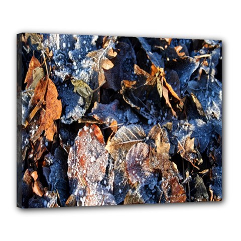 Frost Leaves Winter Park Morning Canvas 20  X 16  by Nexatart