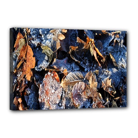 Frost Leaves Winter Park Morning Canvas 18  X 12  by Nexatart