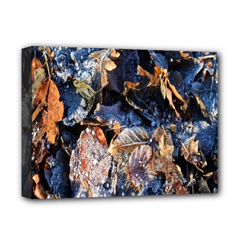 Frost Leaves Winter Park Morning Deluxe Canvas 16  X 12   by Nexatart