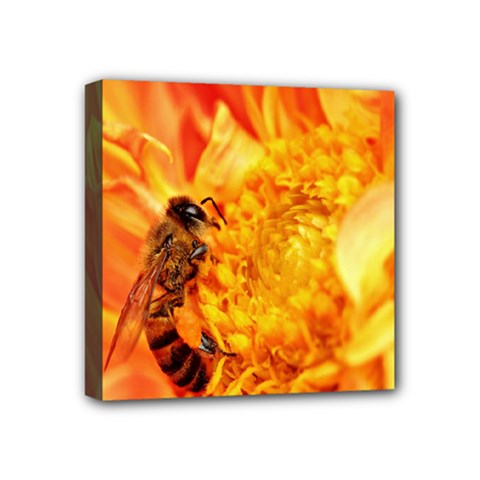 Honey Bee Takes Nectar Mini Canvas 4  X 4  by Nexatart