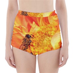 Honey Bee Takes Nectar High-waisted Bikini Bottoms