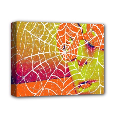 Orange Guy Spider Web Deluxe Canvas 14  X 11 