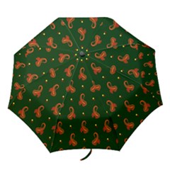 Paisley Pattern Folding Umbrellas by Nexatart