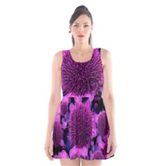 Hintergrund Tapete Keime Viren Scoop Neck Skater Dress by Nexatart