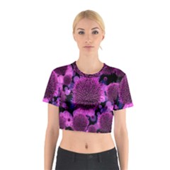 Hintergrund Tapete Keime Viren Cotton Crop Top by Nexatart