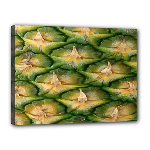 Pineapple Pattern Canvas 16  X 12  by Nexatart