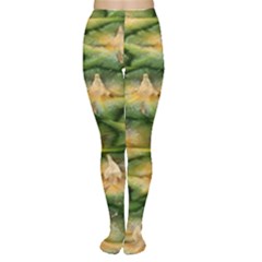 Pineapple Pattern Women s Tights by Nexatart