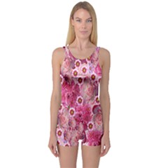 Roses Flowers Rose Blooms Nature One Piece Boyleg Swimsuit