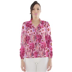 Roses Flowers Rose Blooms Nature Wind Breaker (Women)