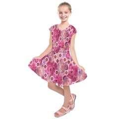 Roses Flowers Rose Blooms Nature Kids  Short Sleeve Dress