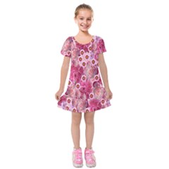 Roses Flowers Rose Blooms Nature Kids  Short Sleeve Velvet Dress