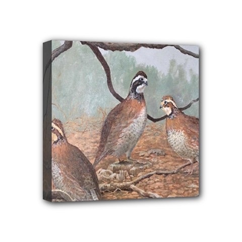 Bob White Quail Mini Canvas 4  X 4  by digitaldivadesigns