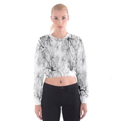 Tree Knots Bark Kaleidoscope Women s Cropped Sweatshirt by Nexatart