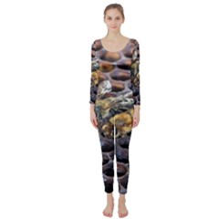 Worker Bees On Honeycomb Long Sleeve Catsuit by Nexatart