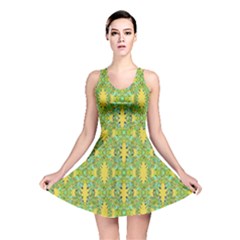 Ornate Modern Noveau Reversible Skater Dress by dflcprintsclothing