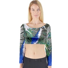 Animal Photography Peacock Bird Long Sleeve Crop Top by Amaryn4rt