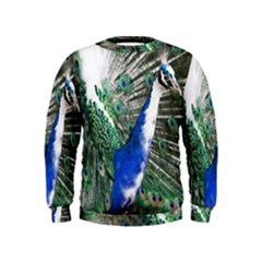 Animal Photography Peacock Bird Kids  Sweatshirt by Amaryn4rt