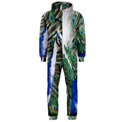 Animal Photography Peacock Bird Hooded Jumpsuit (men)  by Amaryn4rt