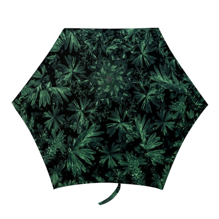 Dark Flora Photo Mini Folding Umbrellas