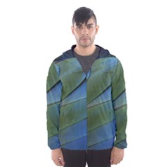 Feather Parrot Colorful Metalic Hooded Wind Breaker (men) by Amaryn4rt