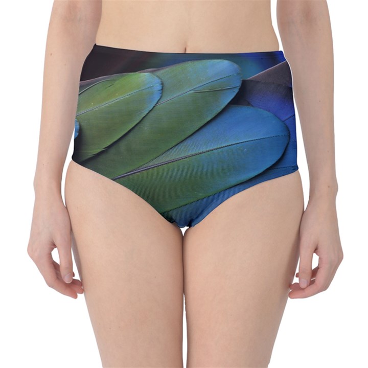 Feather Parrot Colorful Metalic High-Waist Bikini Bottoms