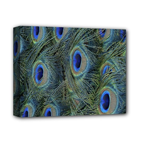 Peacock Feathers Blue Bird Nature Deluxe Canvas 14  X 11 